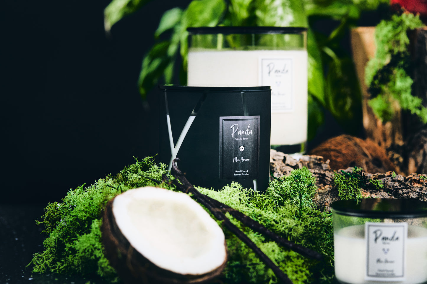 Coconut & Dark Vanilla